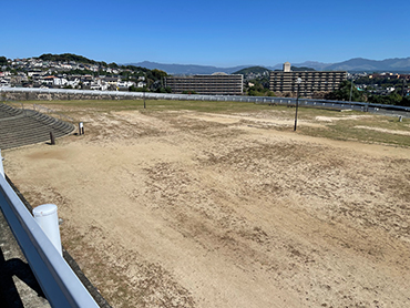 自由遊びや野外活動(体育含む)