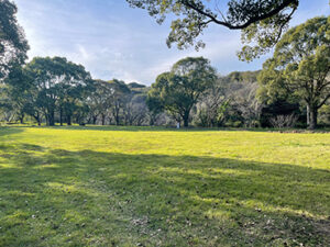 近くに自然に恵まれた広場あり(体験学習、自然活動、聖書を読む、体育など)