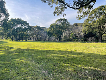 近くに自然に恵まれた広場あり(体験学習、自然活動、聖書を読む、体育など)